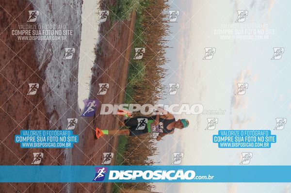 Foto 7322348
