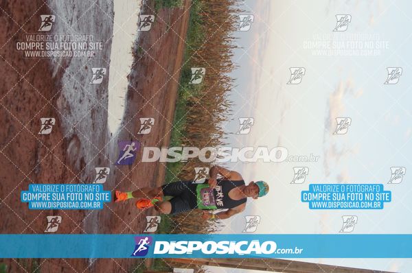Foto 7322353