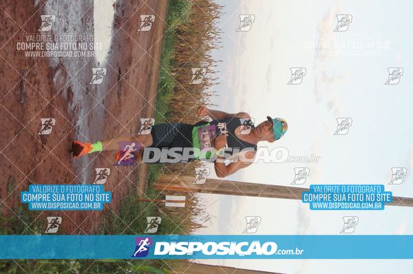 Foto 7322355