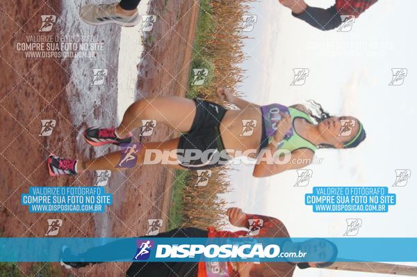 Foto 7322375