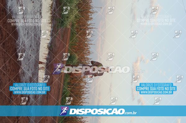 Foto 7322380