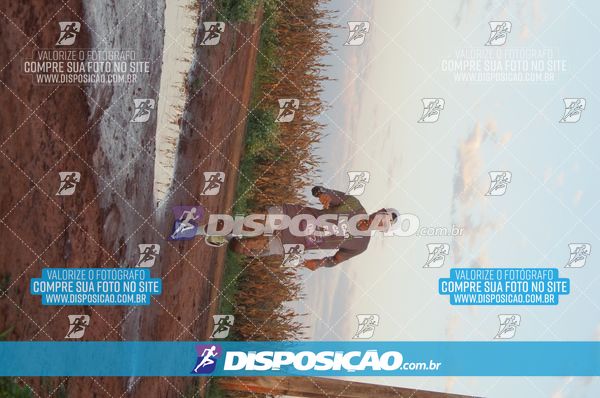 Foto 7322384