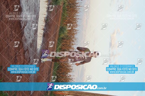 Foto 7322387