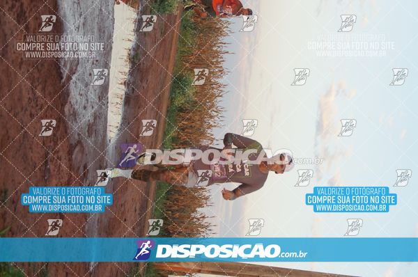 Foto 7322386