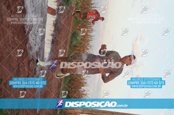 Foto 7322415