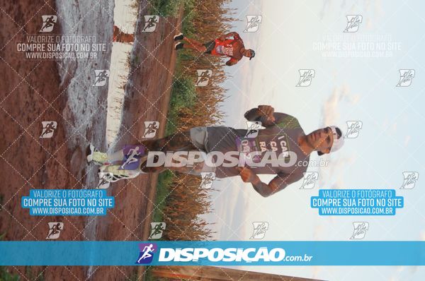 Foto 7322391