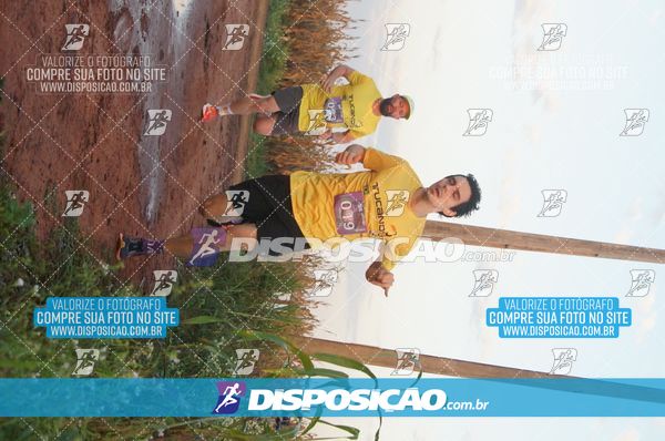 Foto 7322406
