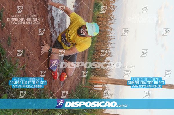 Foto 7322423