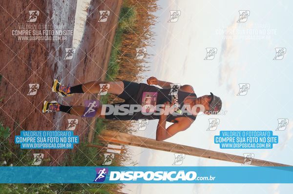 Foto 7322433