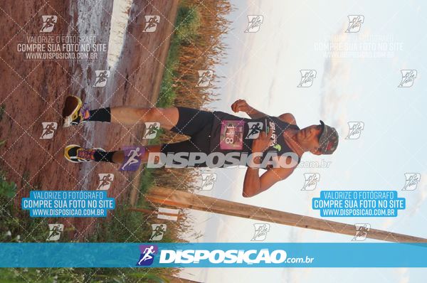 Foto 7322434