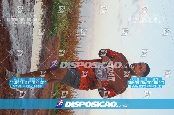Foto 7322453