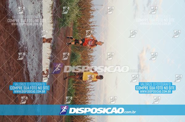 Foto 7322455