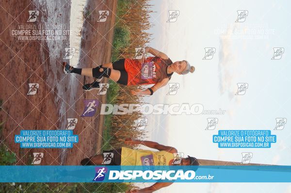Foto 7322461