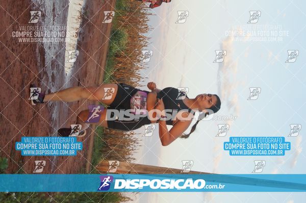 Foto 7322469