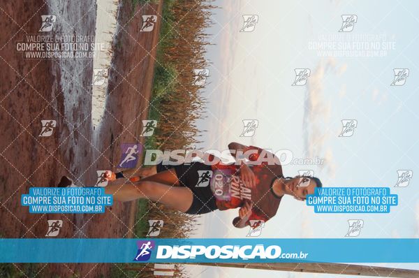 Foto 7322490