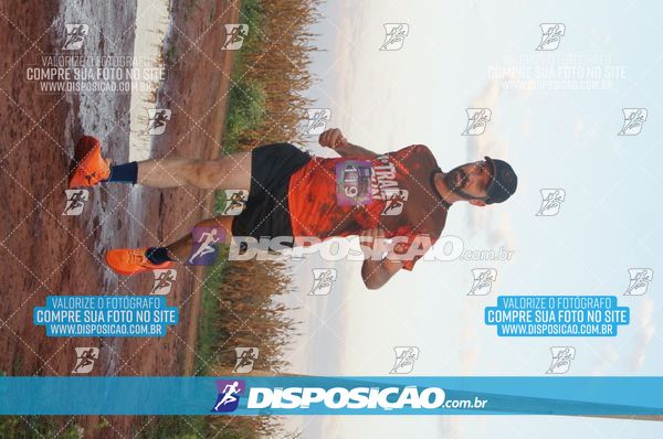 Foto 7322497