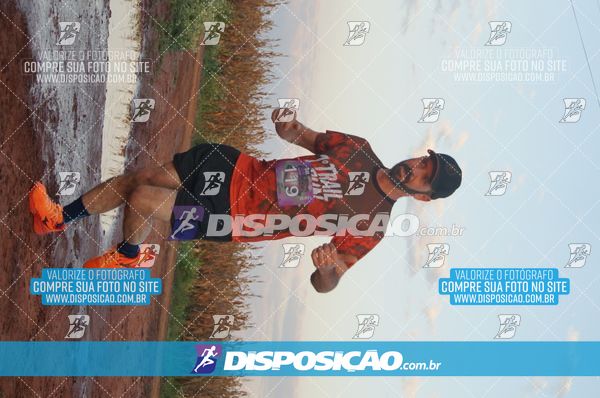 Foto 7322501