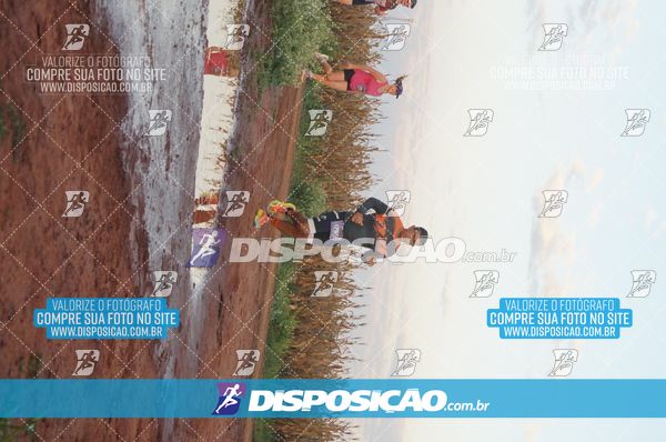 Foto 7322520
