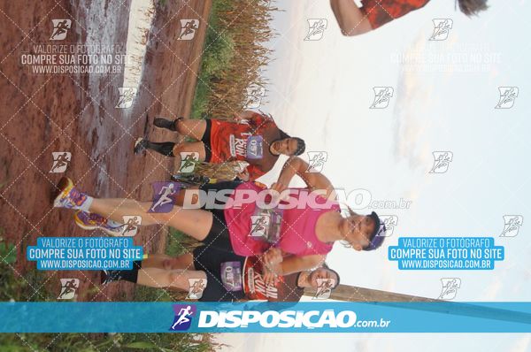 Foto 7322532