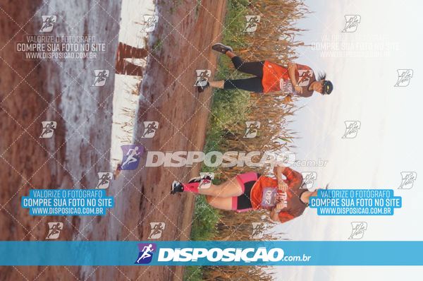 Foto 7322613