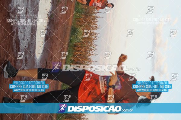 Foto 7322629