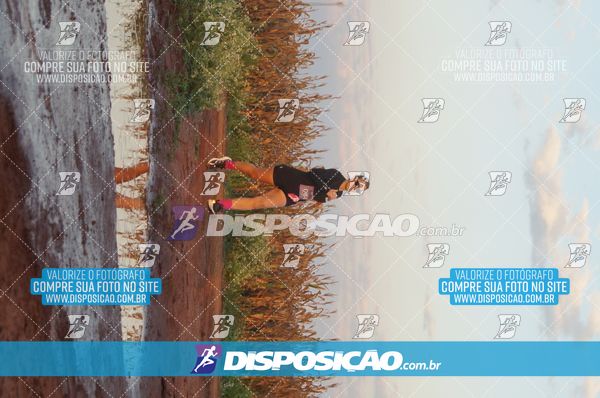 Foto 7322658