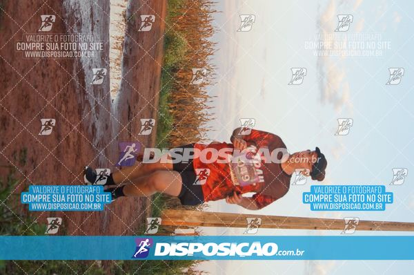 Foto 7322674