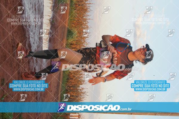 Foto 7322682