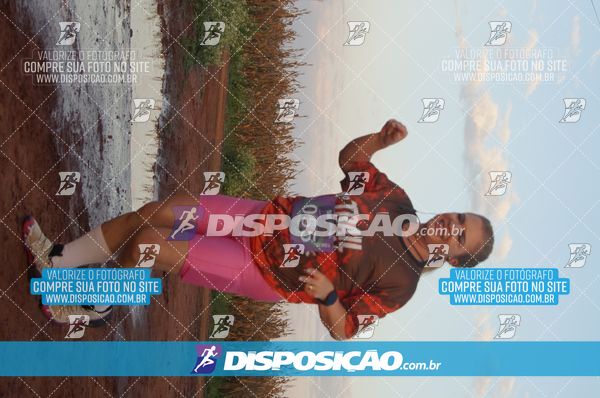 Foto 7322758