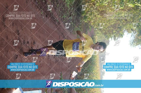 Foto 7322857