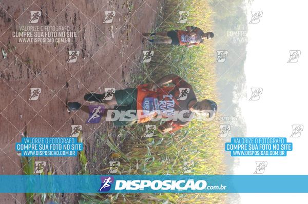 Foto 7322864