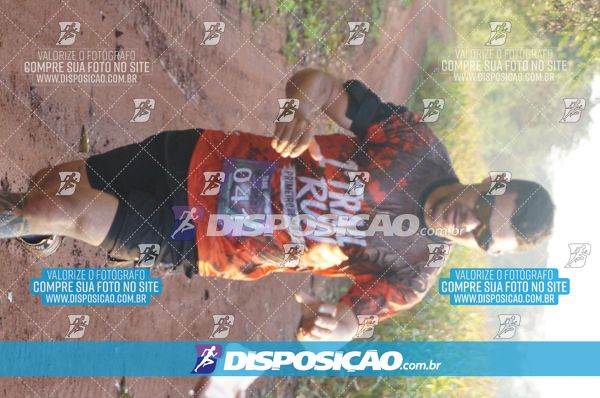 Foto 7322870