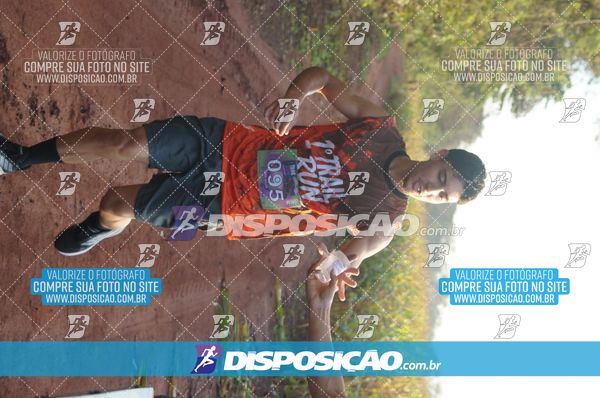 Foto 7322920