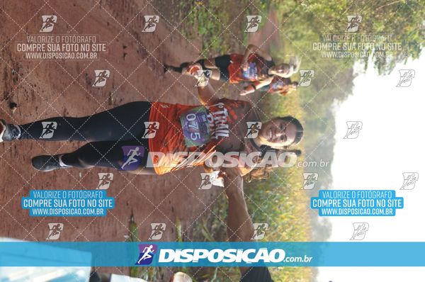 Foto 7323020