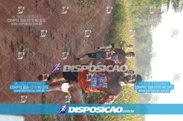 Foto 7323034