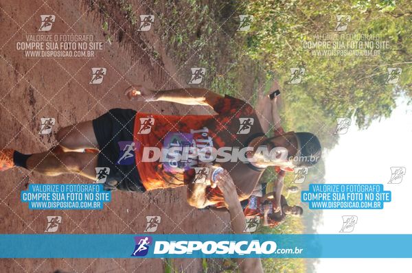 Foto 7323036