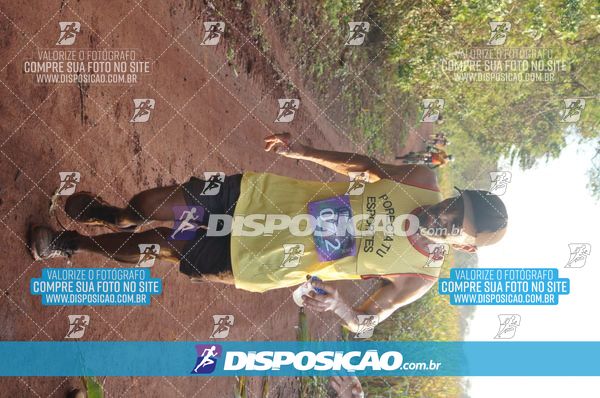 Foto 7323075
