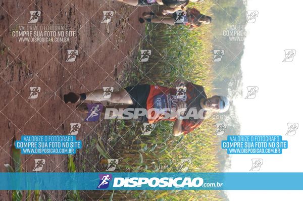 Foto 7323098