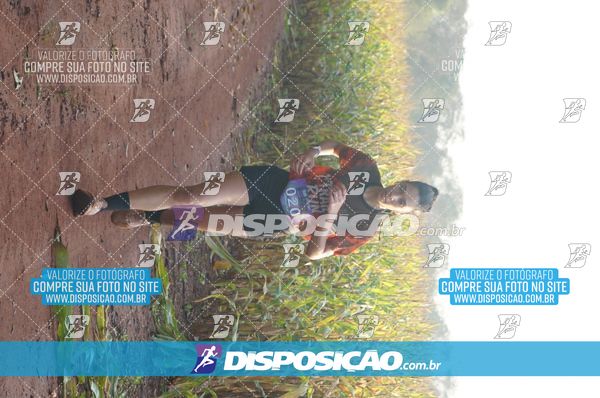 Foto 7323112