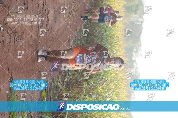 Foto 7323123