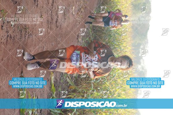 Foto 7323126