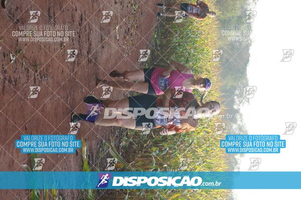 Foto 7323139