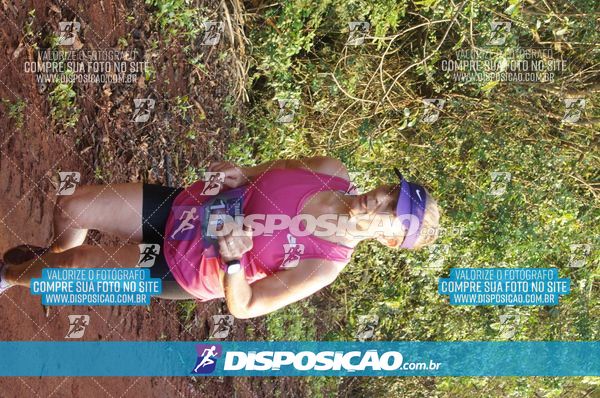 Foto 7323147