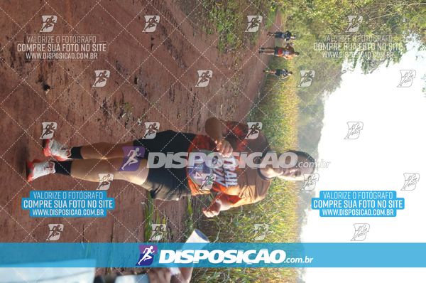 Foto 7323167