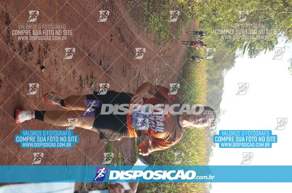Foto 7323169
