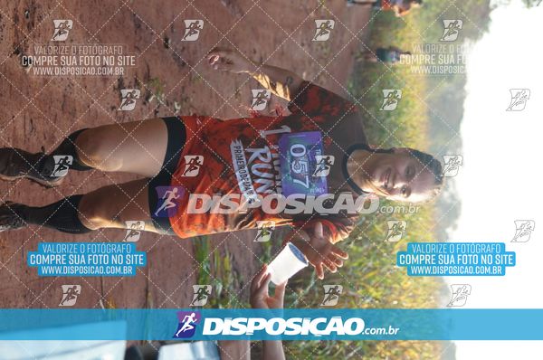 Foto 7323179