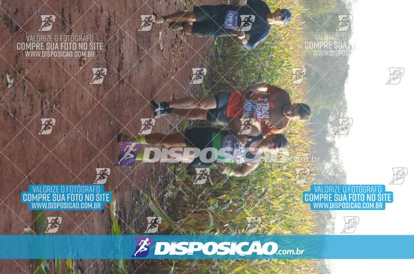 Foto 7323189