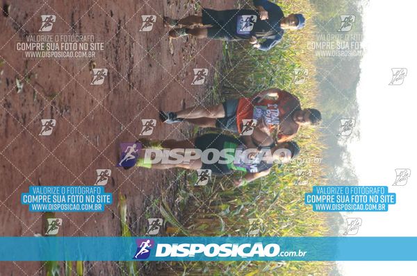 Foto 7323190