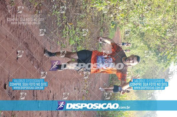 Foto 7323211