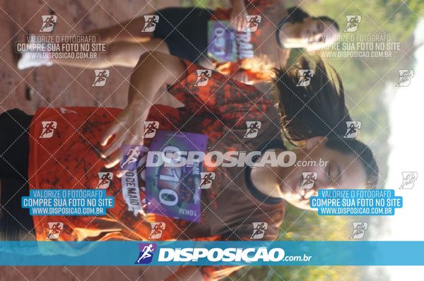 Foto 7323226